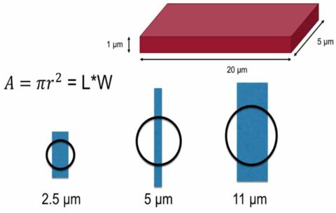 Particle Counting: The Truth Behind the Numbers