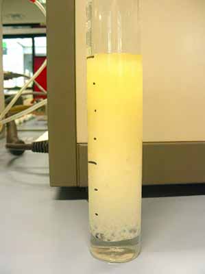 A sample of highly emulsified oil at the conclusion of a demulsibility test. Courtesy of Siemens Energy.