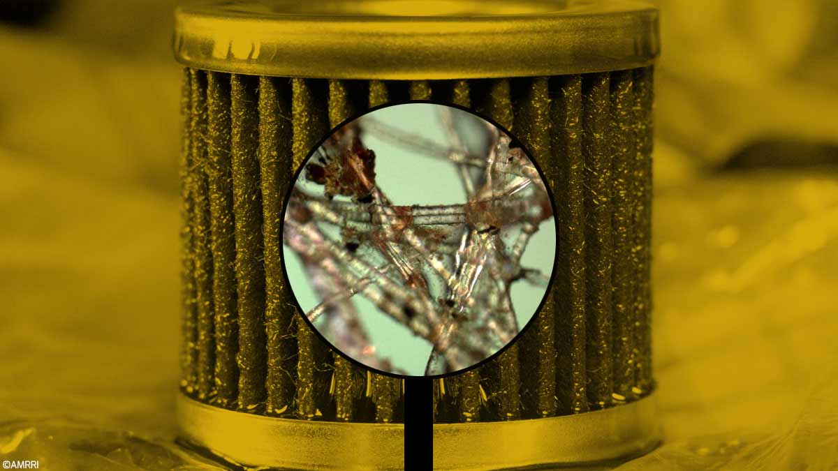 Oil Filter Analysis