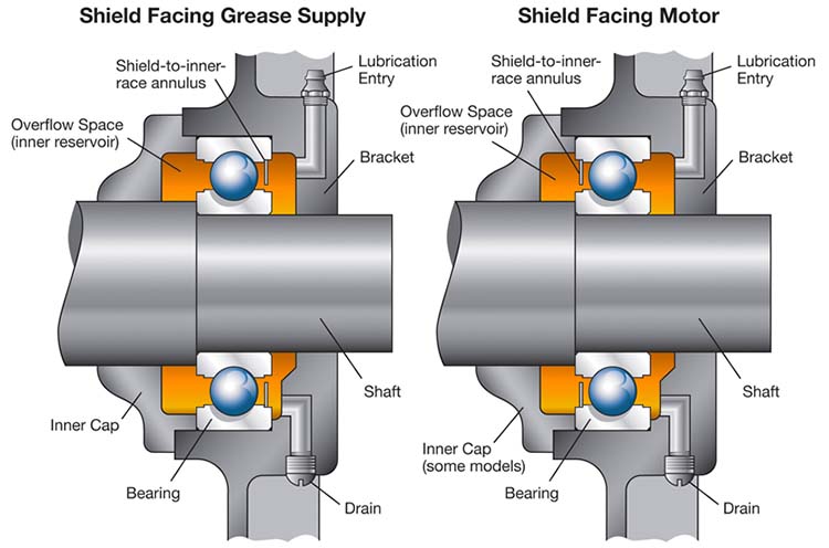 Figure 11. Common Motor Shield Arrangement